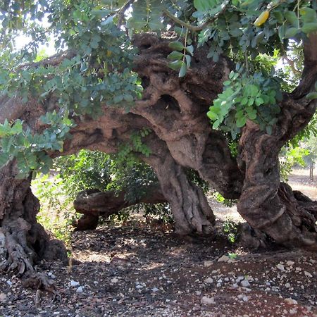 Masseria Don Sante ファザーノ エクステリア 写真